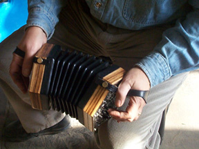 close-up of playing zebrawood concertina